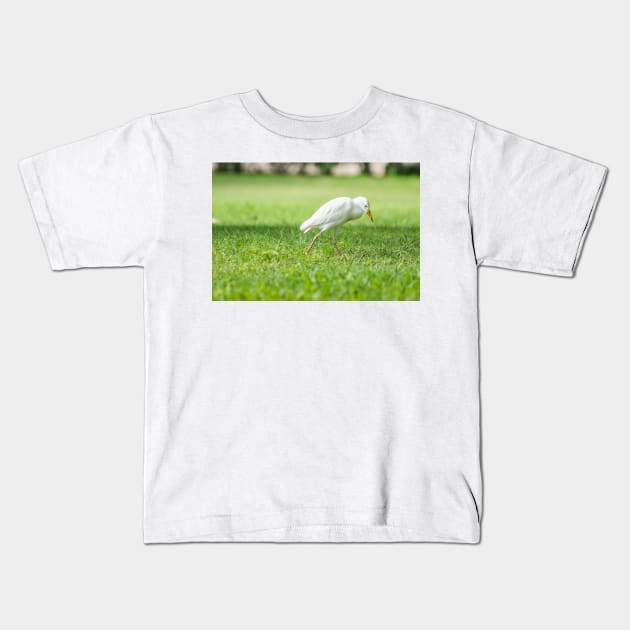 Cattle Egret 8 Kids T-Shirt by KensLensDesigns